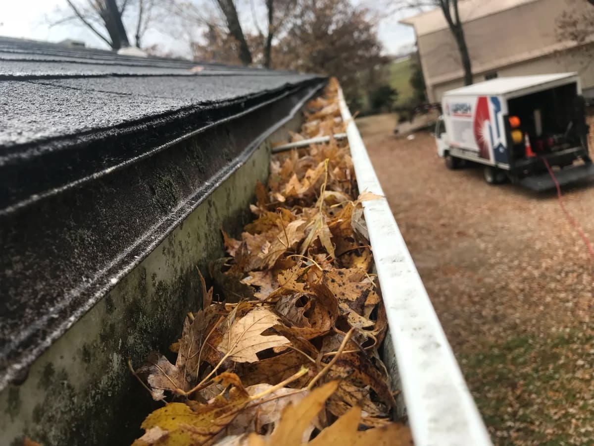 Gutter packed with wet oak leaves along a shingle roof before gutter cleaning