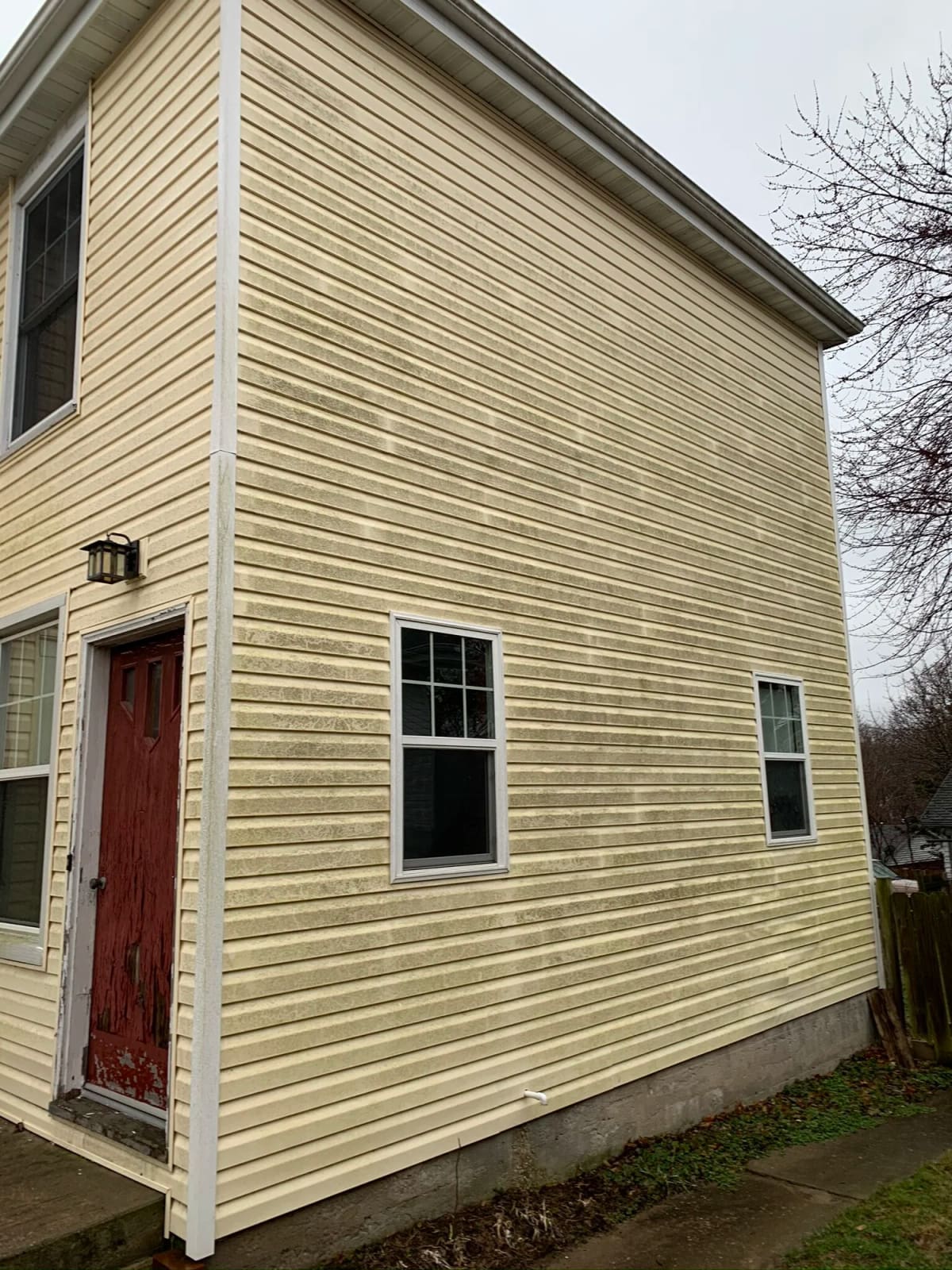 Tan vinyl siding with green growth on the shady side of a two story house before house washing